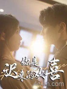 你是迟来的欢喜