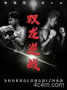 双龙逆战