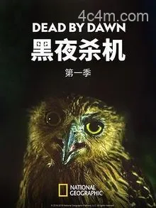 黑夜杀机第一季
