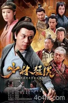 武林猛虎电影解说