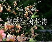 桃色将军