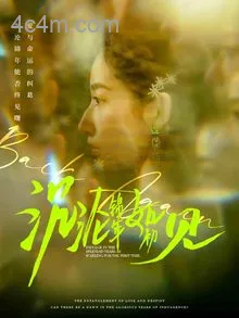 沉沦锦年如初见