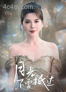 月光不曾抵达