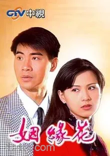 姻緣花电影解说
