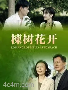 楝树花开