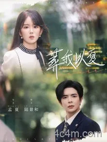 葬我以夏
