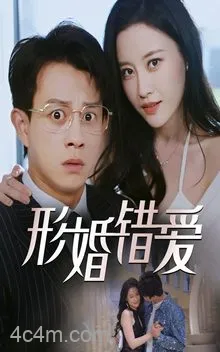 形婚错爱