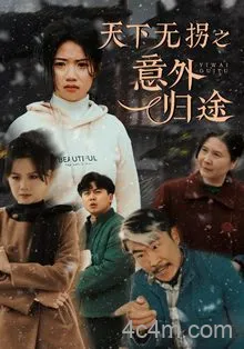 天下无拐之意外归途