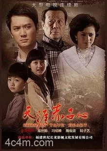 天涯赤子心电影解说