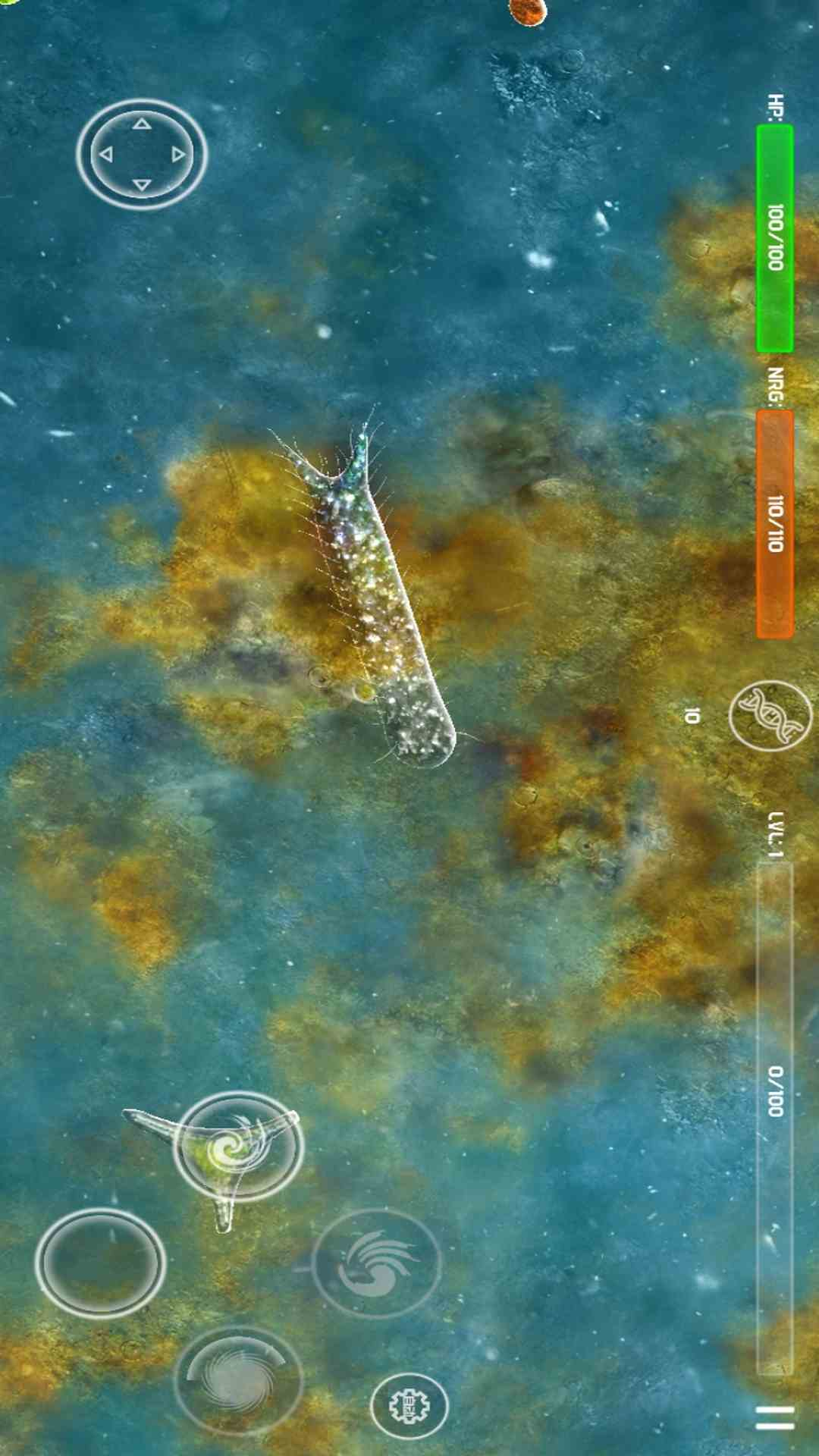 6fd99373a8e71e23.png