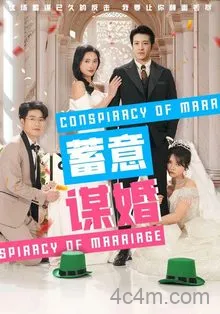 蓄意谋婚