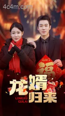 龙婿归来