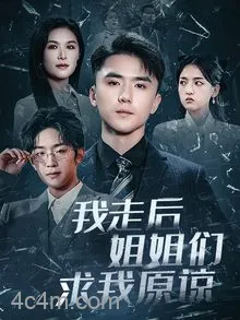 我走后姐姐们求我原谅