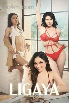 欢愉的代价