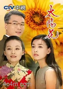 太阳花1998