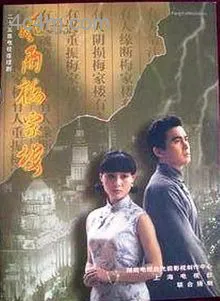风雨梅家楼
