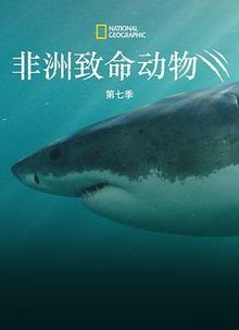 非洲致命动物第七季