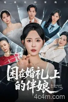 困在婚礼上的伴娘