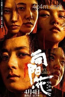 向阳花电影解说