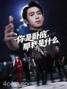 你是卧底那我是什么