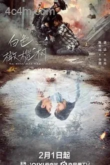 白色橄榄树