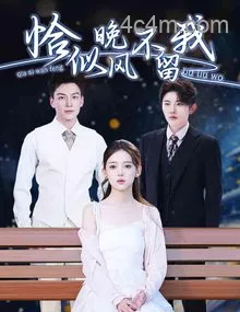 恰似晚风不留我