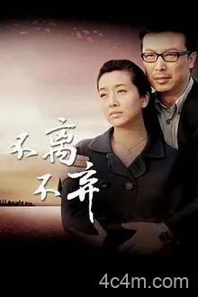 不离不弃