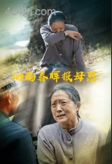 细雨春晖报母恩