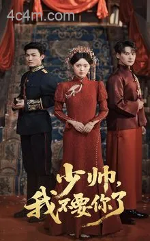 少帅我不要你了