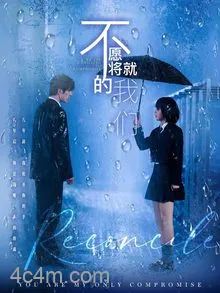 不愿将就的我们