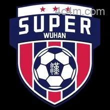 武汉城市足球超级联赛黄陂区5.0新洲区20250823