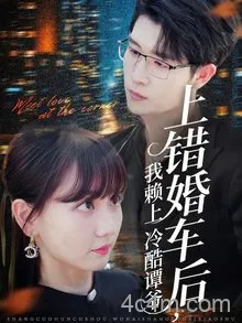 上错婚车后我赖上冷酷谭爷