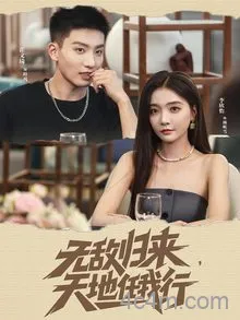 无敌归来天地任我行
