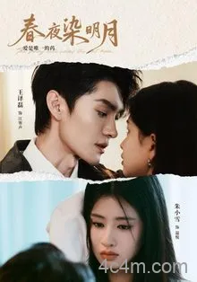 春夜染明月