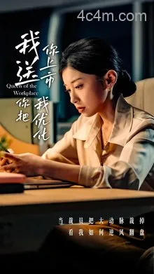 我送你上市你把我优化