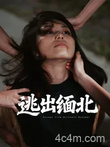 逃出缅北