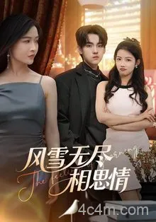 风雪无尽相思情