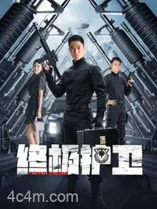终极护卫