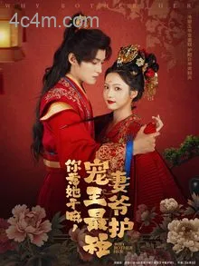 你惹她干嘛，宠妻王爷最护短