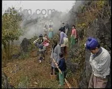 鱼公主红鲤公主