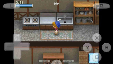 【安卓手机游戏】牧场物语：风之繁华集市 v1.0-2mgame