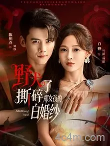 野犬撕碎了那女孩的白婚纱