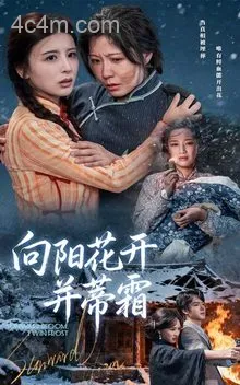 向阳花开并蒂霜