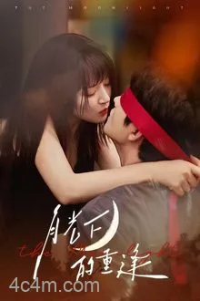 月光下的重逢