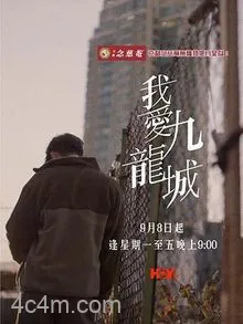 我爱九龙城