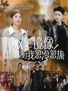 双生镜像陆先生对我忽冷忽热