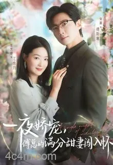 一夜娇宠，傅总的满分甜妻闯入怀