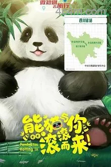 熊猫与你,滚滚而来!