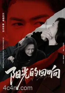 阳光的回响