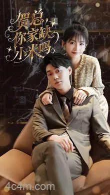 贺总你家缺小米吗